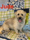 Jude