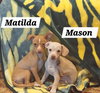 Matilda