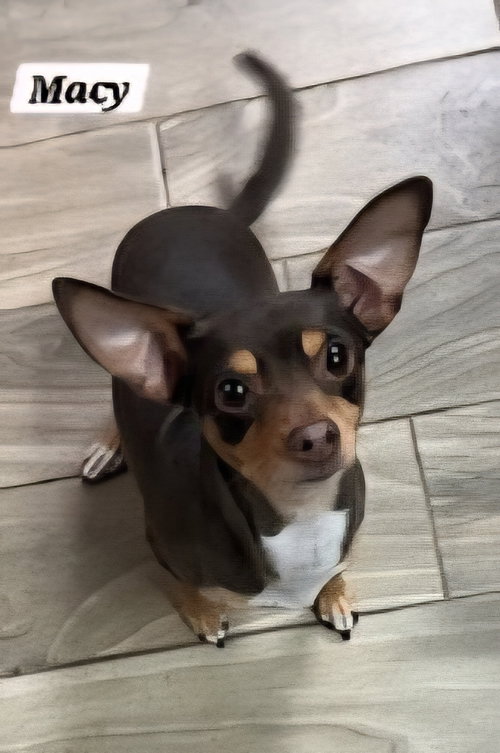 Macy