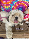 Troy