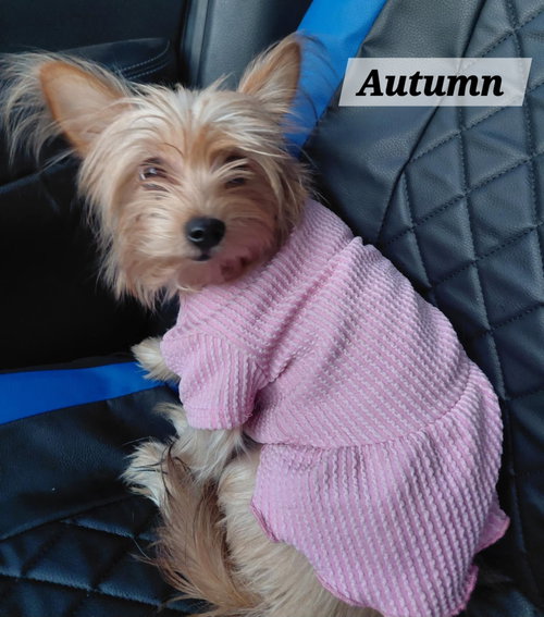 Autumn