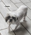 Coco