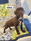 Gina