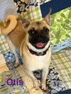 Otis