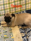 Tatum