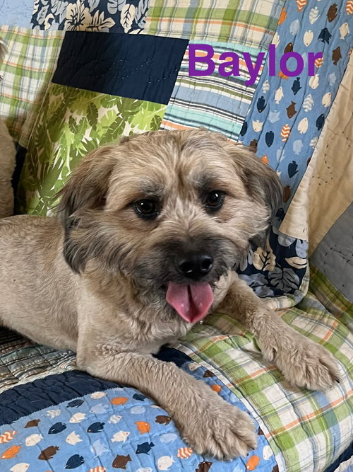 Baylor