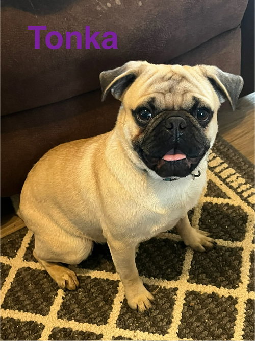 Tonka