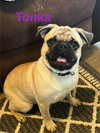 Tonka