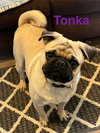 Tonka