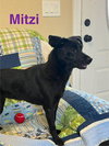 Mitzi
