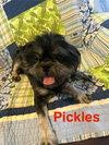 Pickles