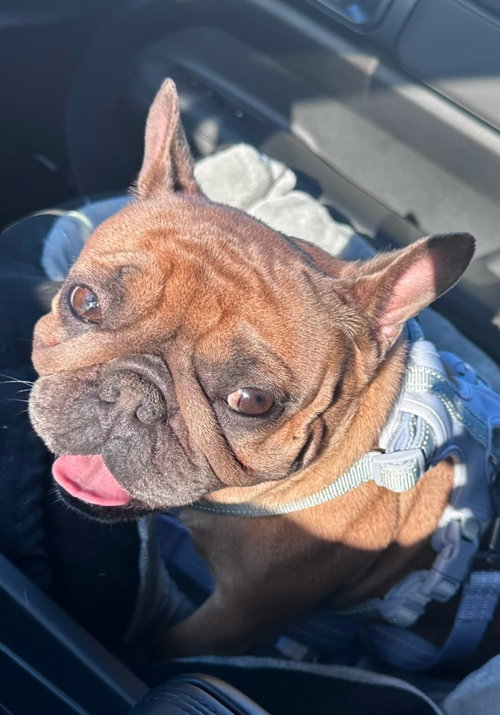 Coco