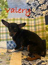 Valery
