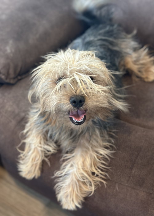 Peanut