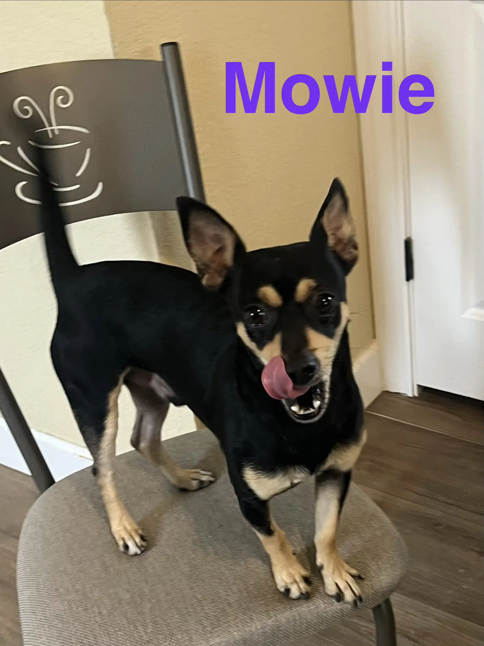 Mowie image 2
