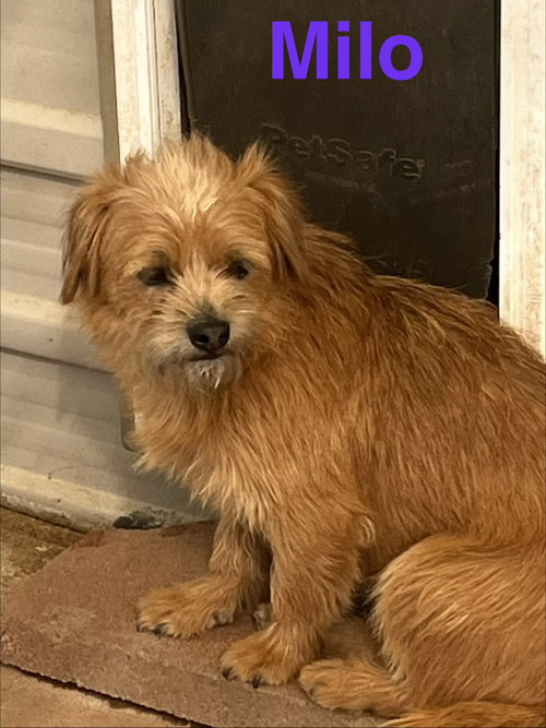 Milo