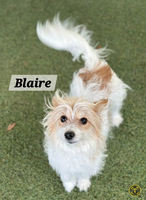 Blaire