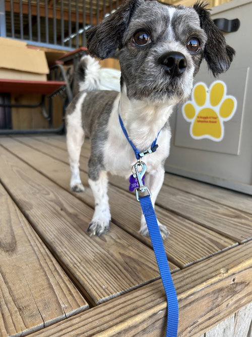 Benny