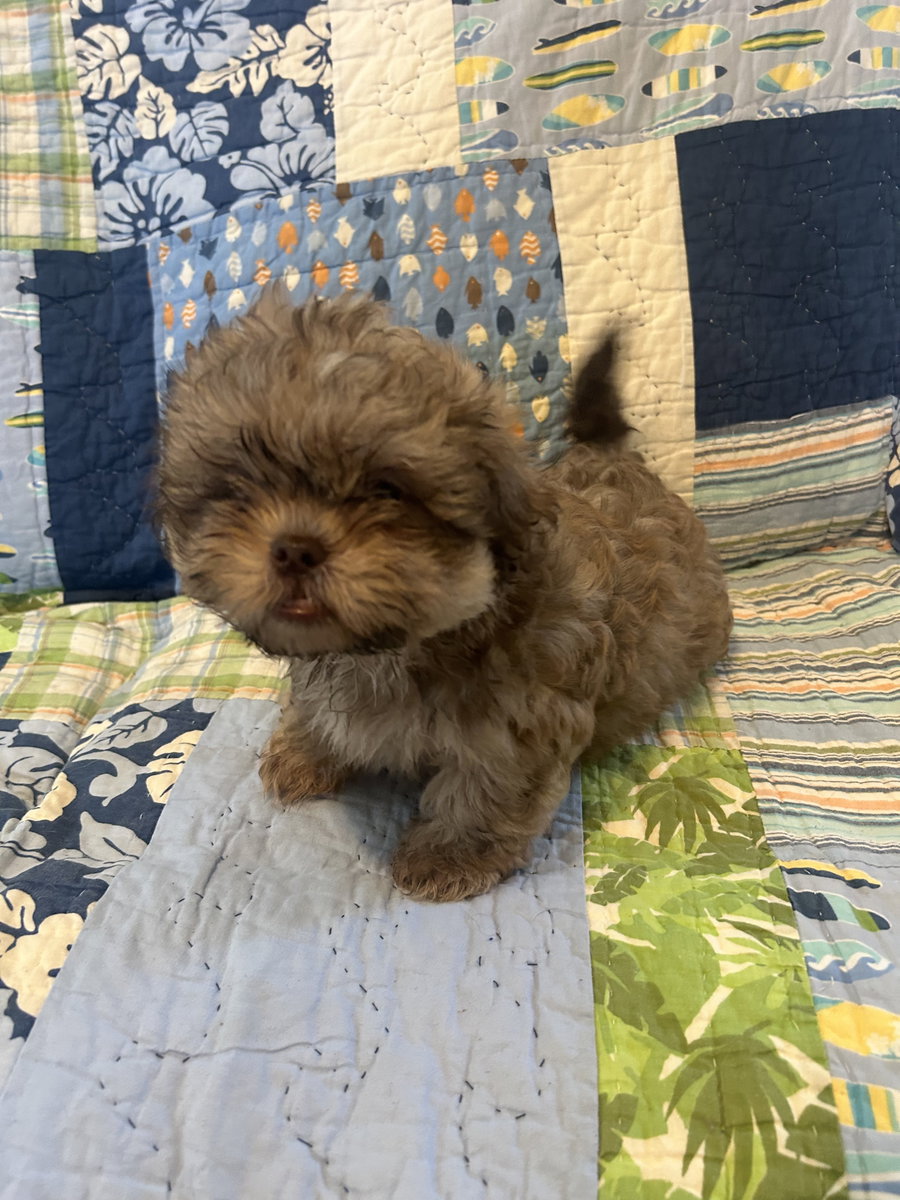 Benson