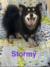 Stormy