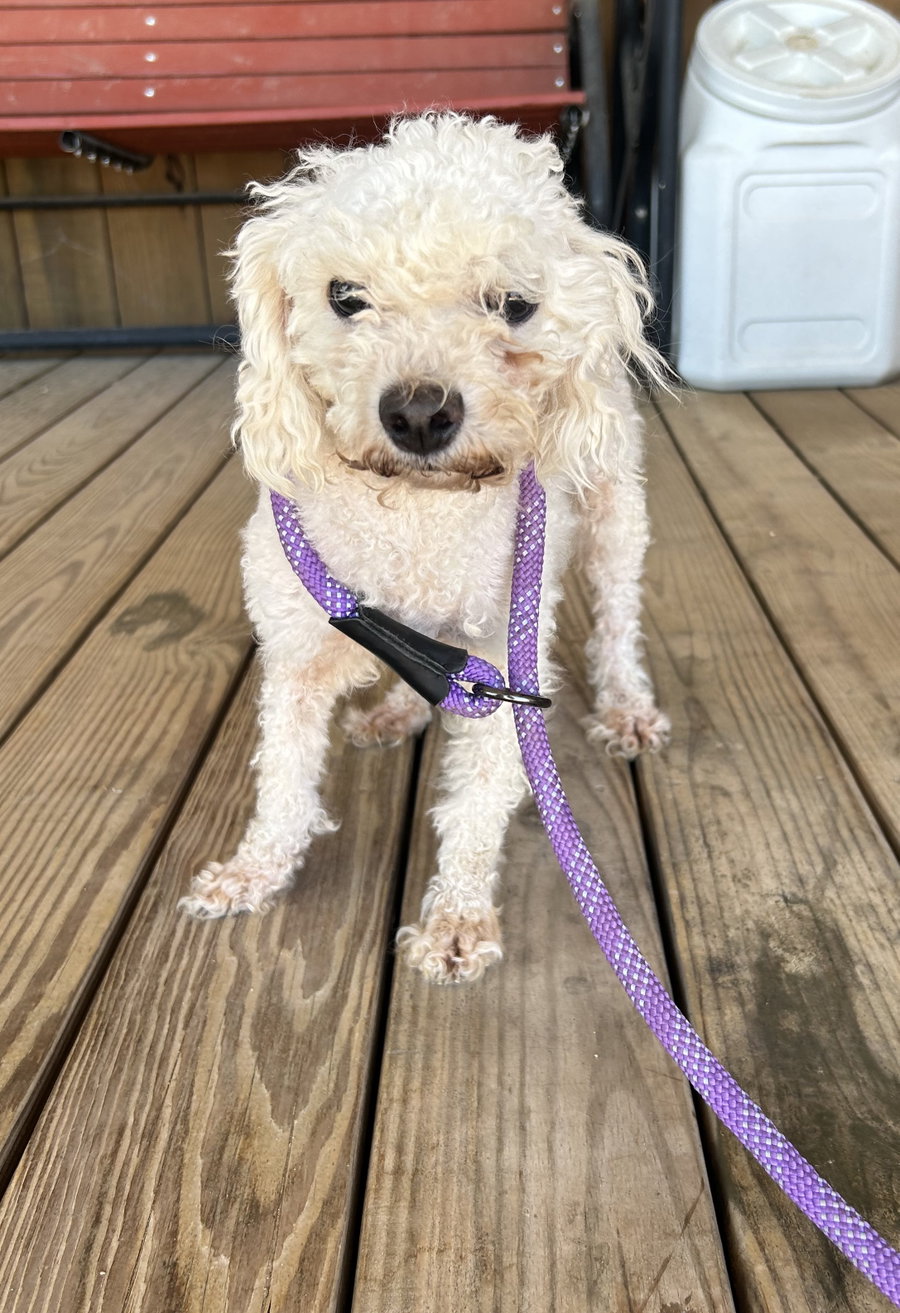 Sadie