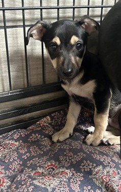 Benny