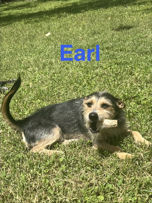 Earl