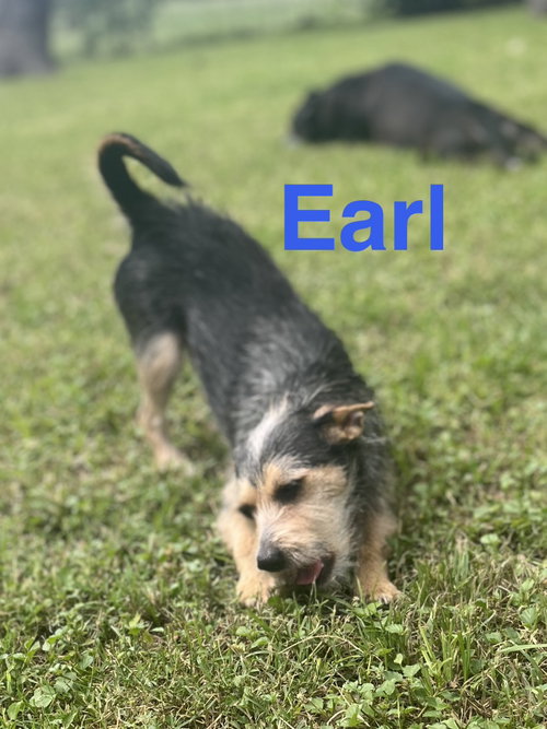 Earl photo 2