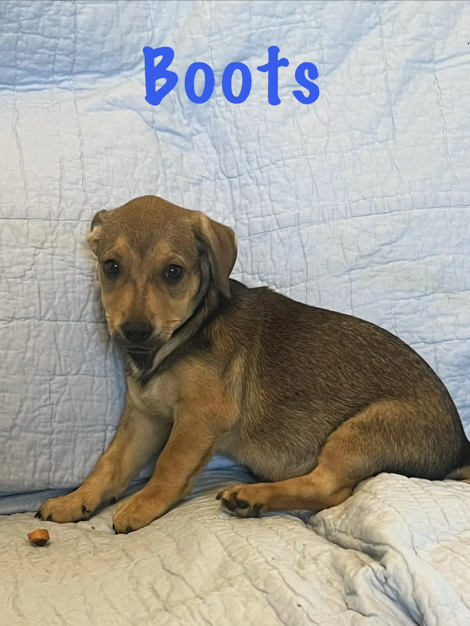 Boots image 3