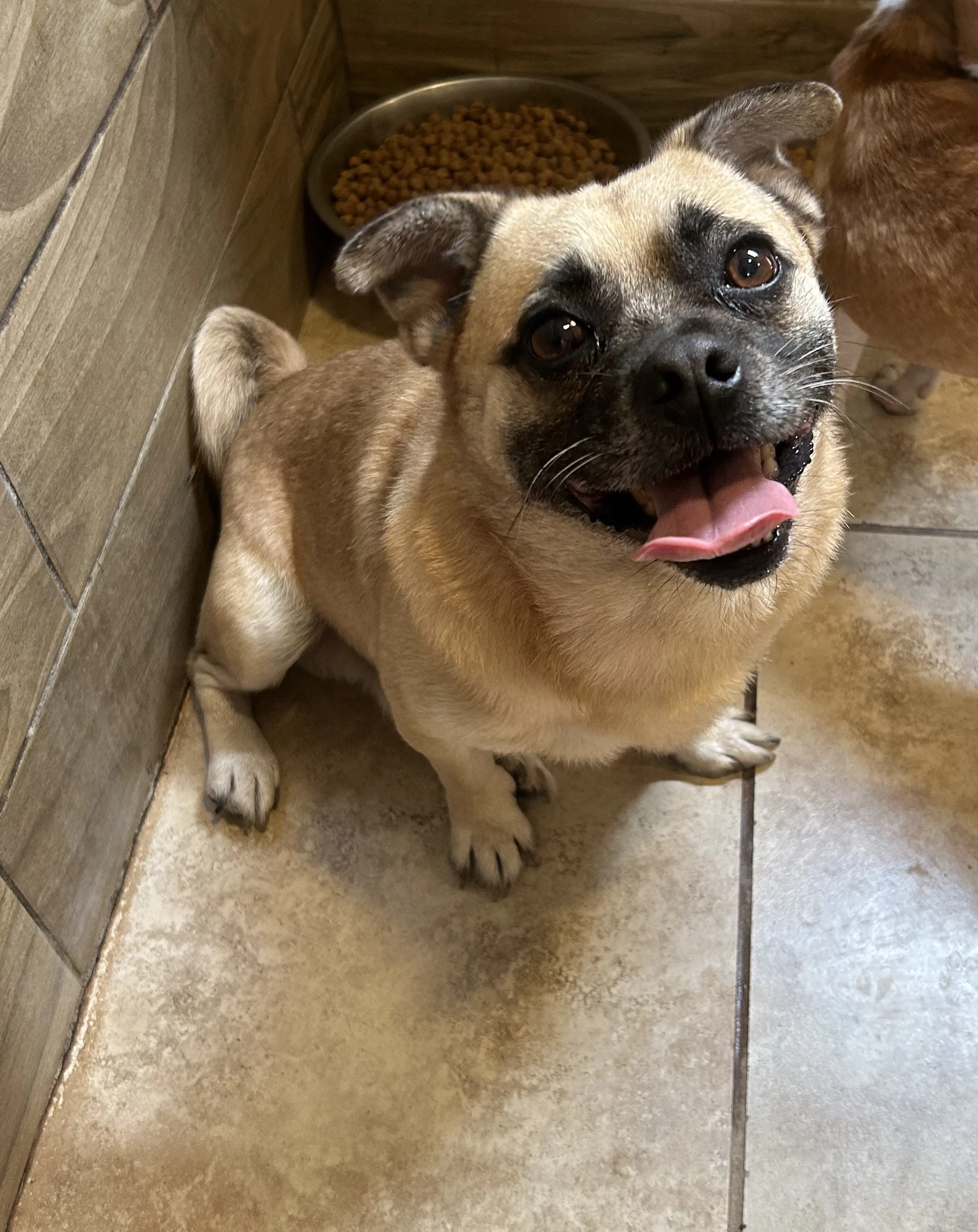Pedro