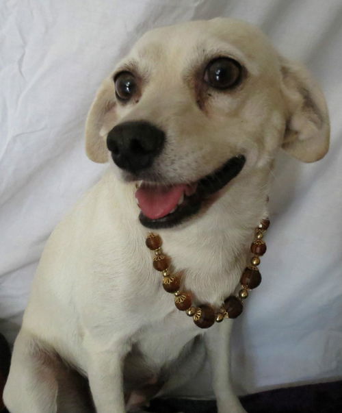 Heidi