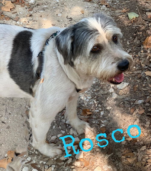 Rosco