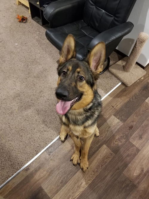 Ben