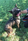 QUINCY - Photo 13