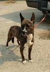 QUINCY - Photo 14