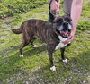 QUINCY - Photo 11