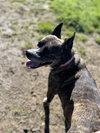 QUINCY - Photo 15