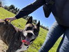 QUINCY - Photo 16