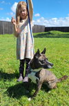QUINCY - Photo 2