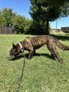 QUINCY - Photo 4
