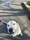 KIYA - Photo 4