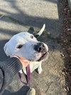 KIYA - Photo 5