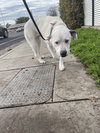 KIYA - Photo 3