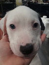KIYA - Photo 6