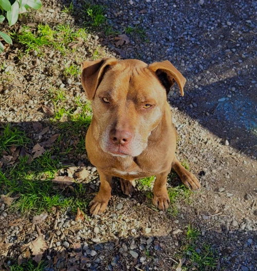 DRAKO, photo 7