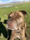DRAKO - Photo 2