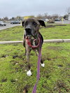 Brigsby - Photo 2