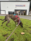 Brigsby - Photo 3