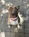 ADDIE - Photo 7