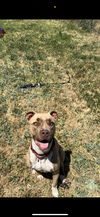 ADDIE - Photo 10